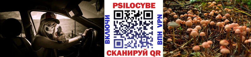 купить наркотики цена Усть-Катав Псилоцибиновые грибы мицелий